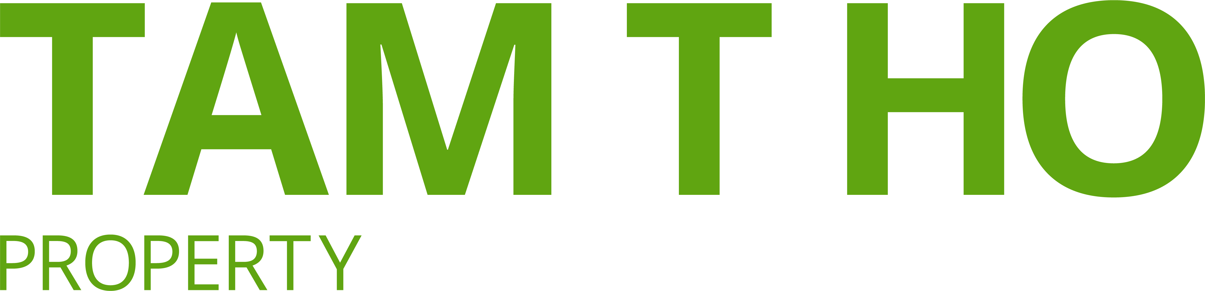 tam-t-ho-property-logo